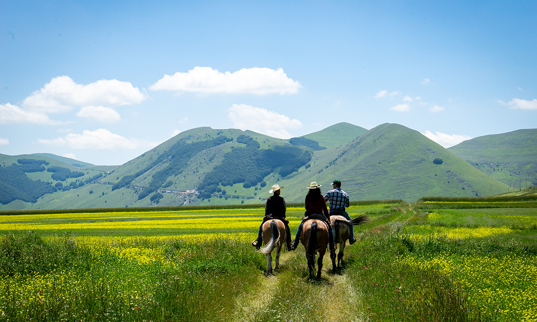 7 buoni motivi per provare le escursioni a cavallo di Ippovia