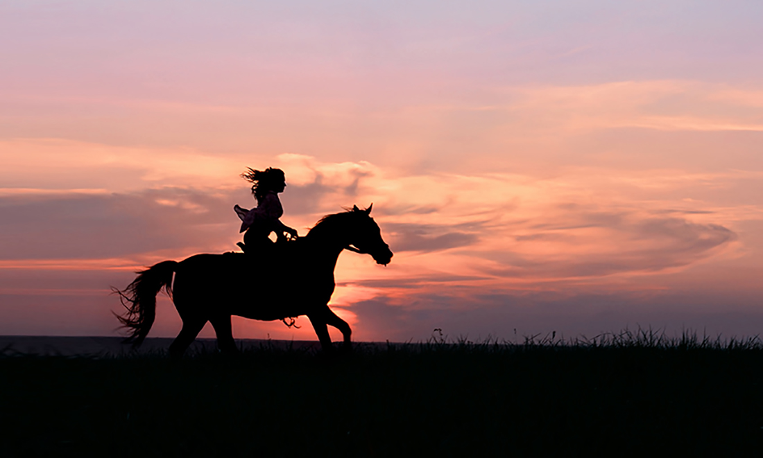 Scoprire una nuova passione: le passeggiate a cavallo