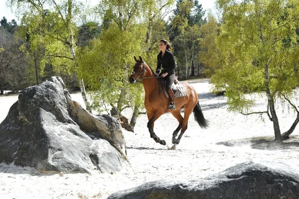 Sognare di andare a cavallo: tutti i significati che si nascondono dietro ciò